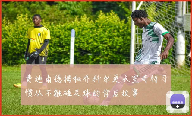 费迪南德揭秘乔科尔更衣室奇特习惯从不触碰足球的背后故事